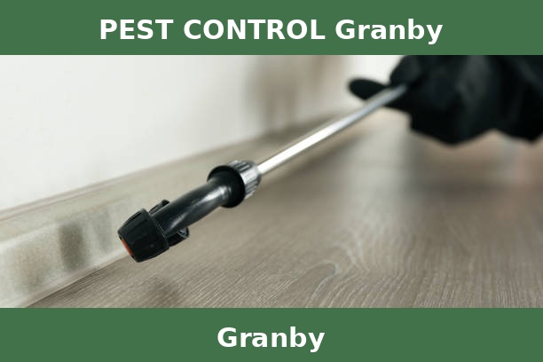 PEST CONTROL Granby